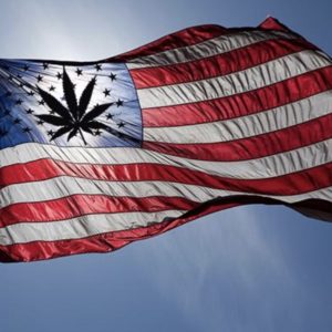 3 States Approve Recreational Marijuana; Nationwide Is Next