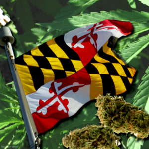 Medical Marijuana sold in Maryland