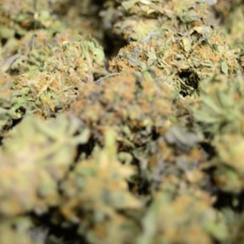 First bill dealing with medical marijuana filed