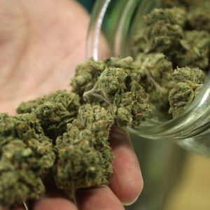 Constitutional amendment would legalize medical cannabis