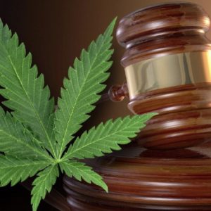 Virginia closer to legalizing marijuana for all medical uses