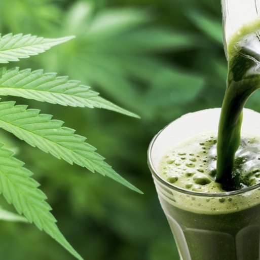 Juicing Cannabis for Healing – A Success Story (Video)