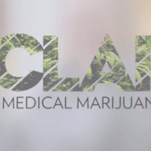 CLARITY - A Medical Marijuana Documentary