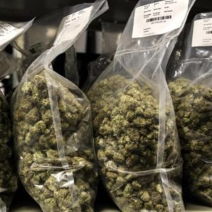 Marijuana legalization could help offset opioid epidemic, studies find