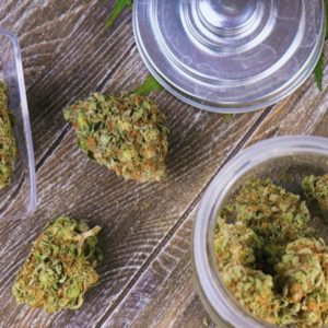 Pennsylvania Medical Marijuana Board Supports Whole-Plant Sales