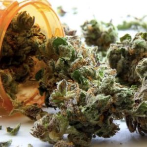 New Yorkers May Now Replace Opioid Prescriptions With Medical Marijuana