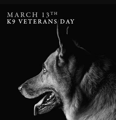 K 9 Veterans Day